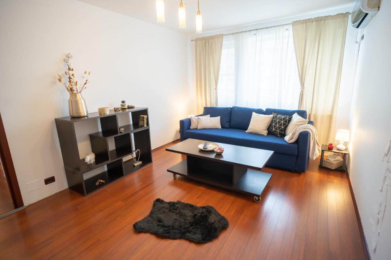Spacious 2Br Dristor Apartment Букурещ Екстериор снимка