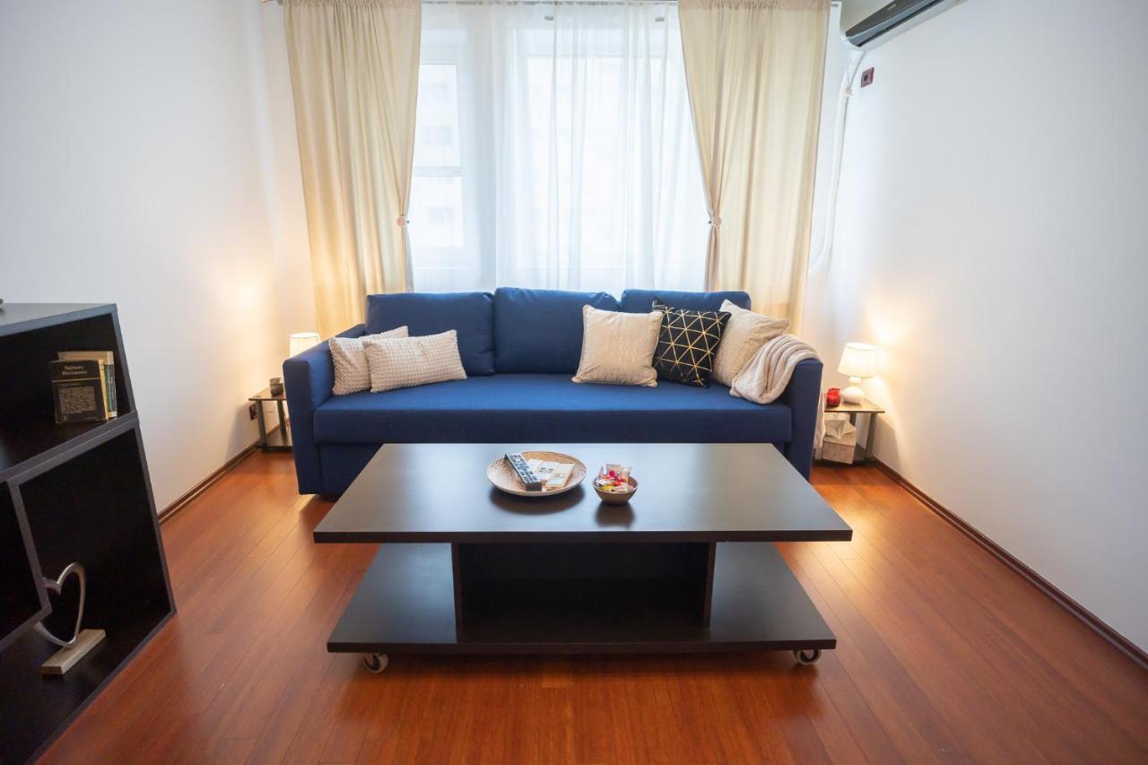 Spacious 2Br Dristor Apartment Букурещ Екстериор снимка